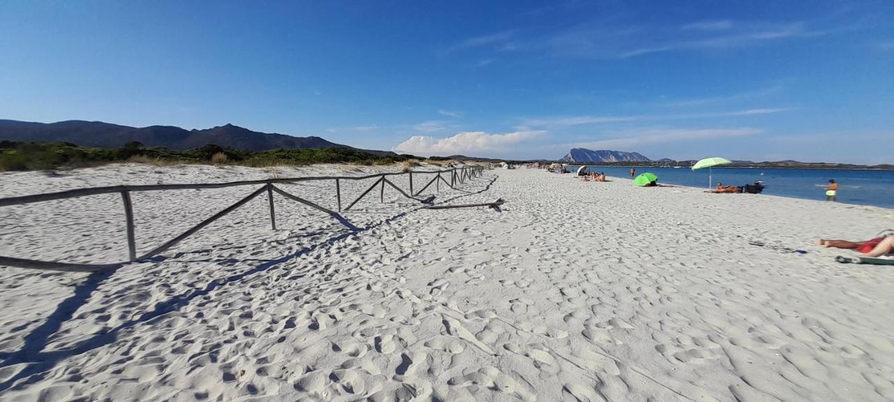 Willa Viagramsci129 San Teodoro  Zewnętrze zdjęcie