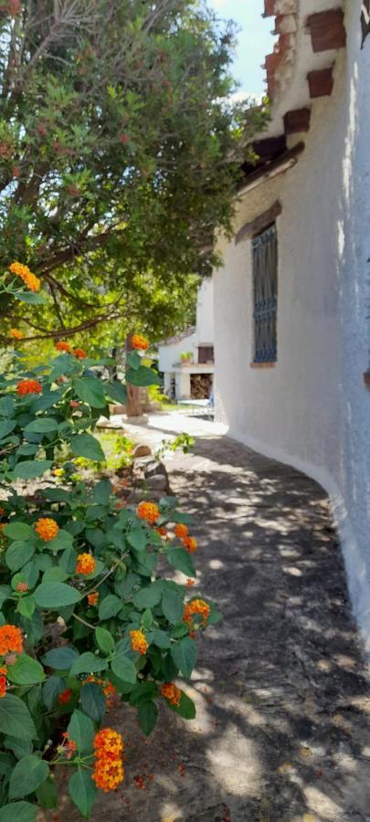 Willa Viagramsci129 San Teodoro  Zewnętrze zdjęcie